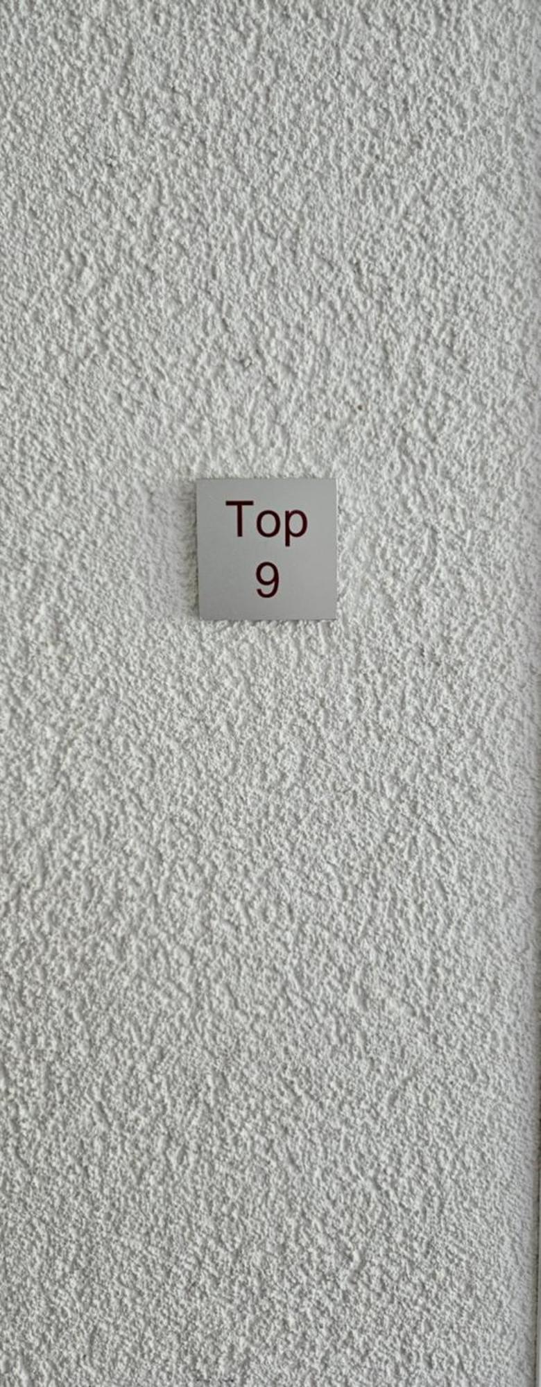 Damuelser Horn Cameră foto